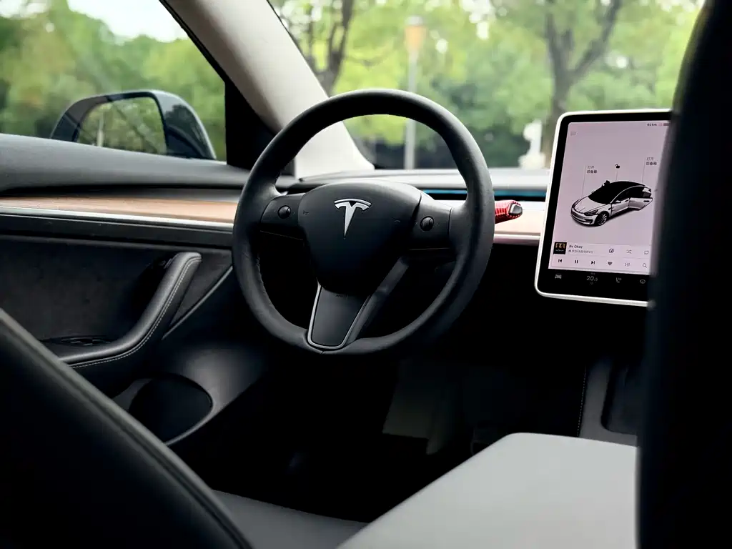 Tesla Model 3 — фото 23