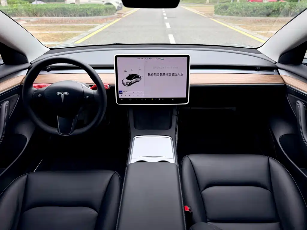 Tesla Model 3 — фото 25