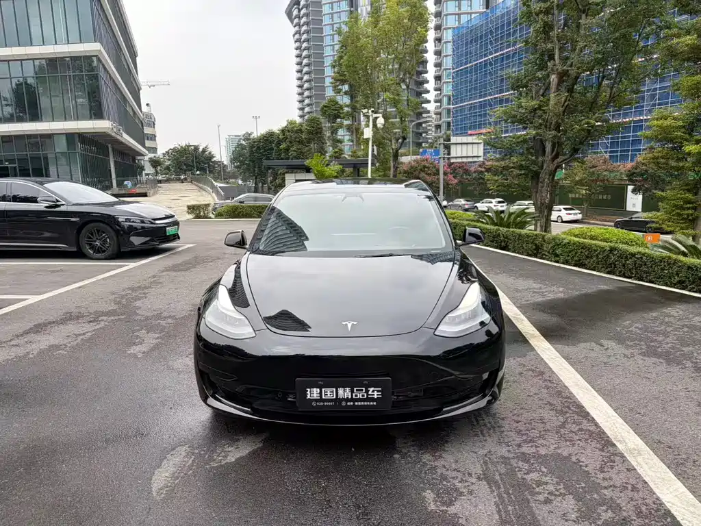 Tesla Model 3 — фото 2
