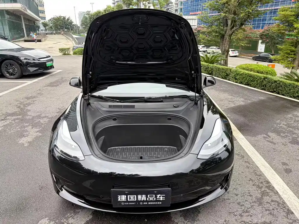 Tesla Model 3 — фото 19