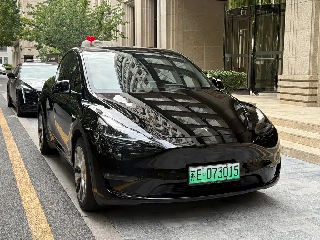 Tesla Model Y — фото 3