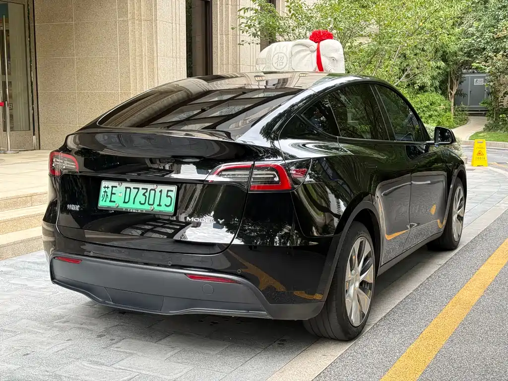 Tesla Model Y — фото 4