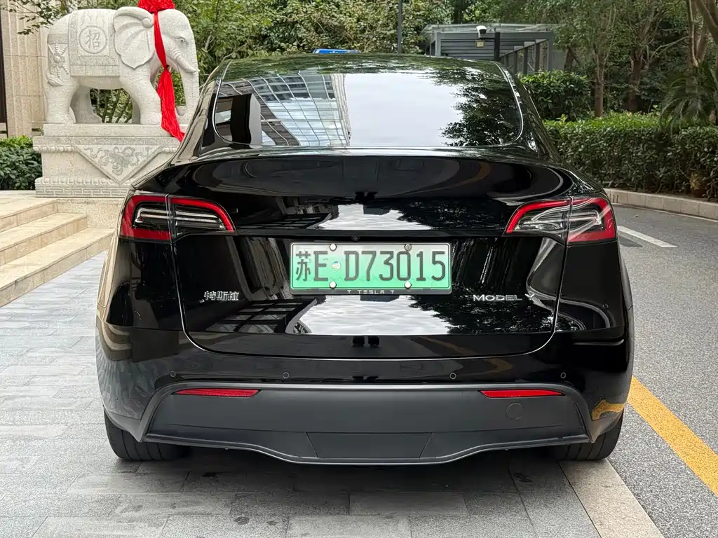 Tesla Model Y — фото 6