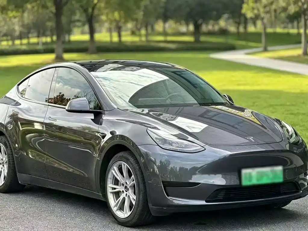 Tesla Model Y — фото 3