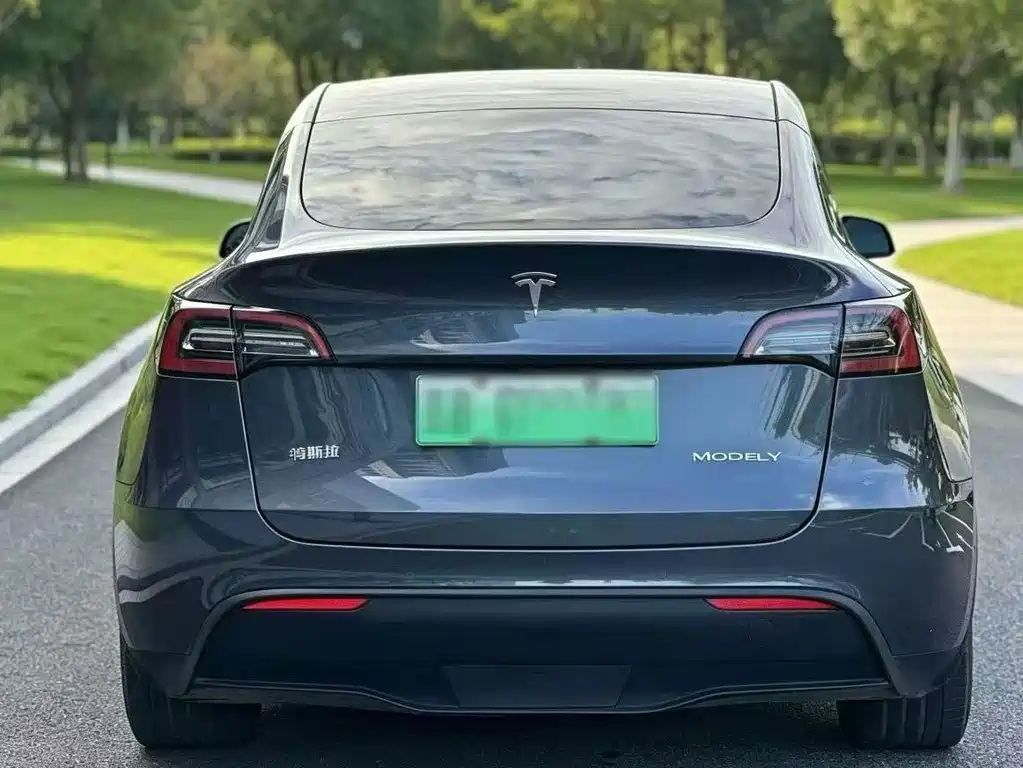 Tesla Model Y — фото 7