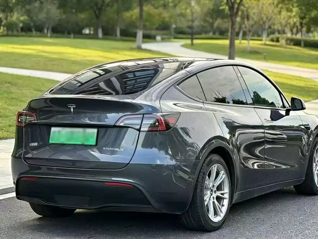 Tesla Model Y — фото 8