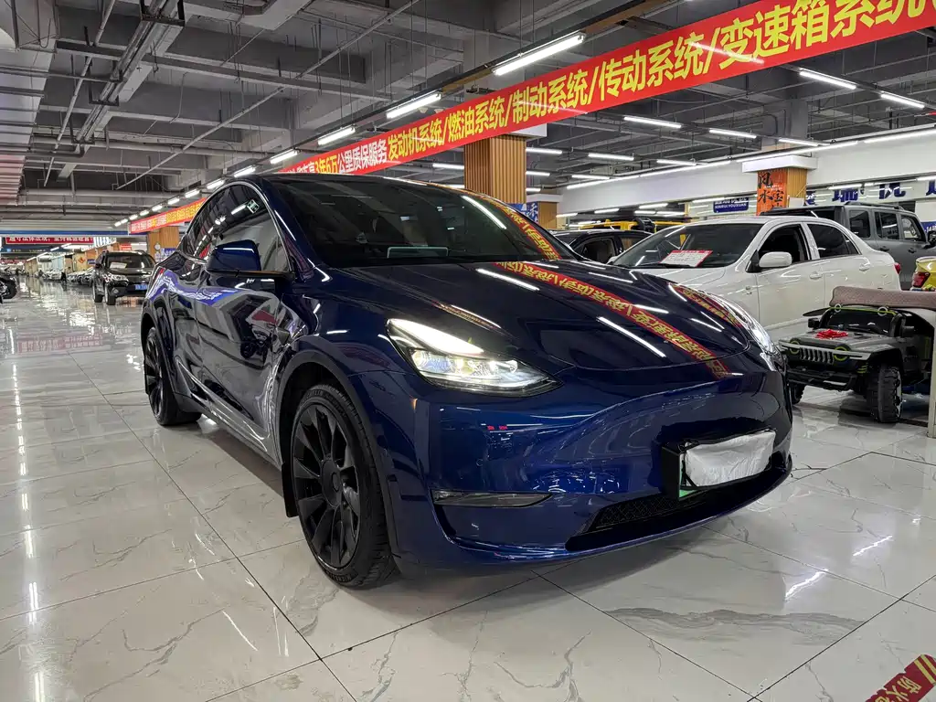 Tesla Model Y — фото 2