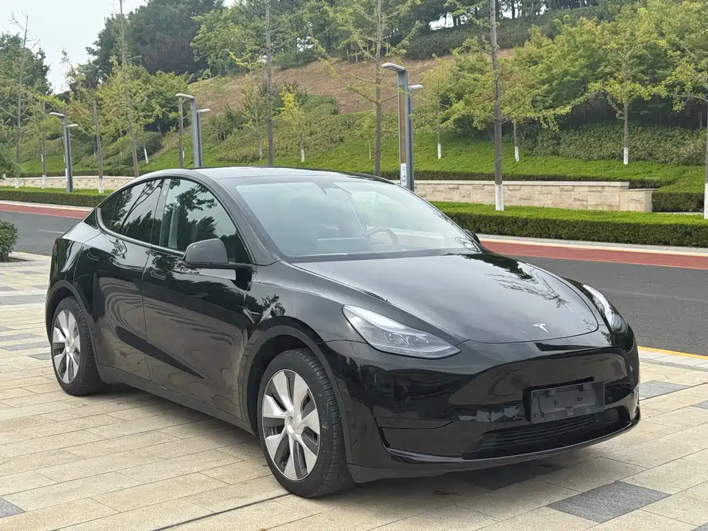 Tesla Model Y — фото 3