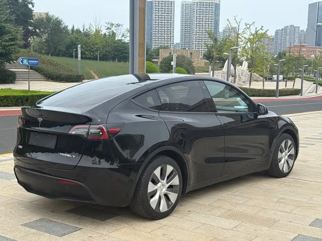 Tesla Model Y — фото 4