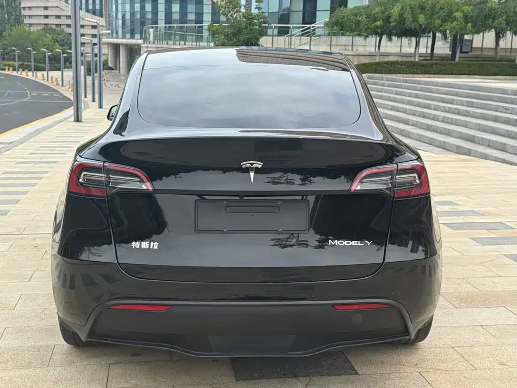 Tesla Model Y — фото 5