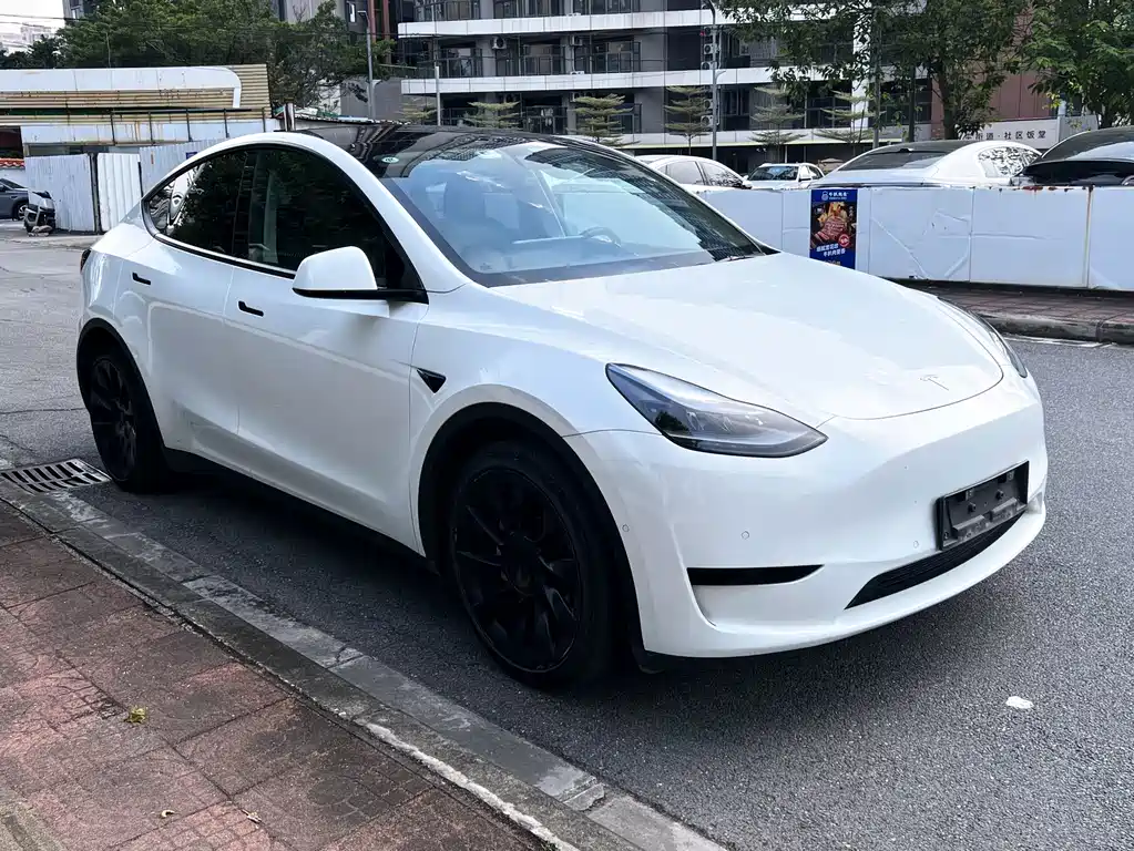 Tesla Model Y — фото 3