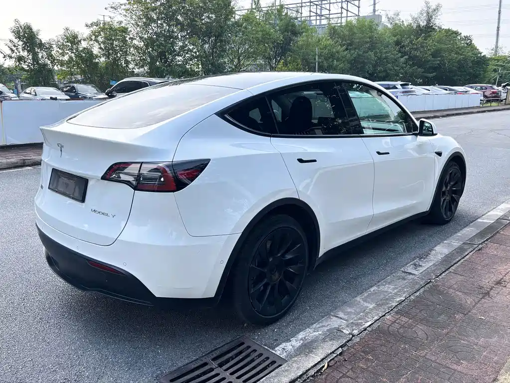 Tesla Model Y — фото 4