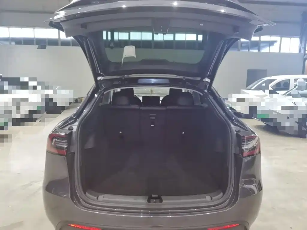 Tesla Model Y — фото 19