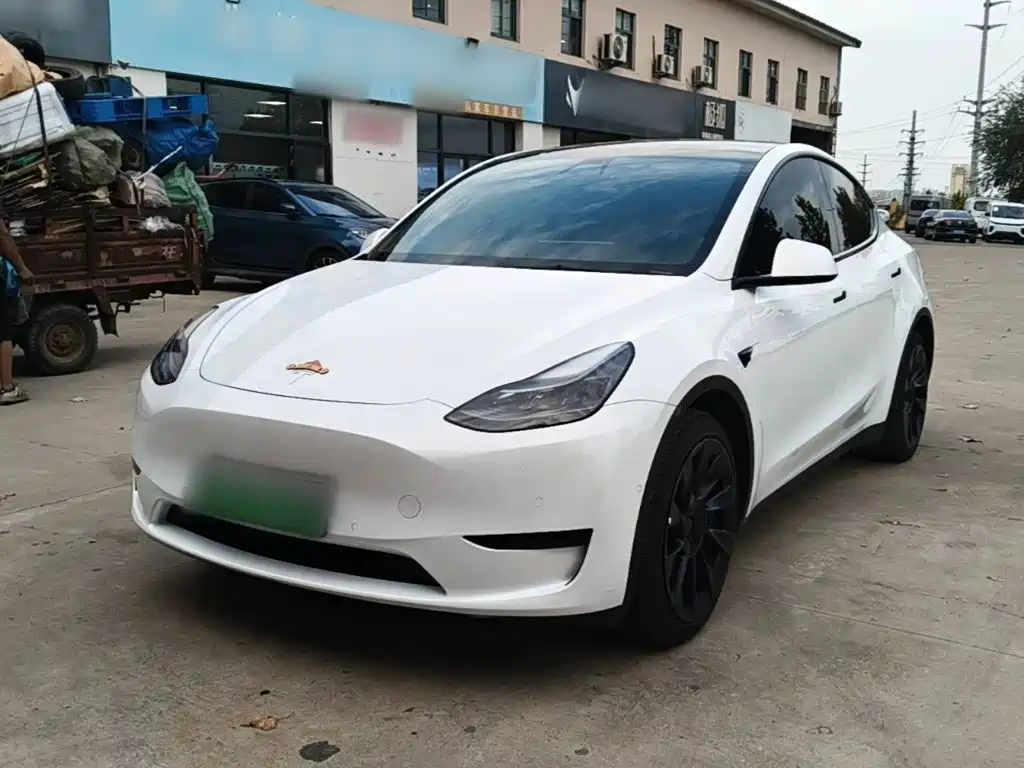 Tesla Model Y — фото 2