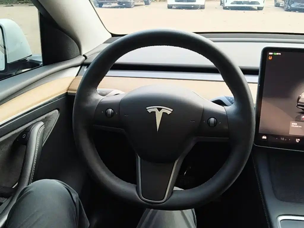 Tesla Model Y — фото 11