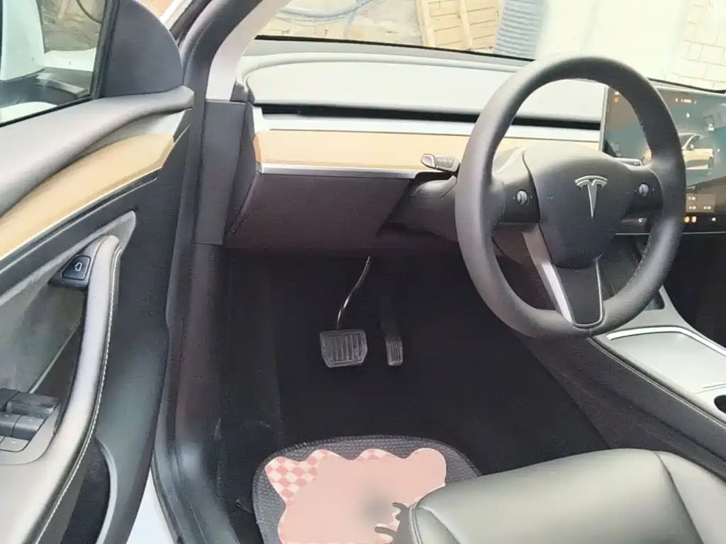 Tesla Model Y — фото 16