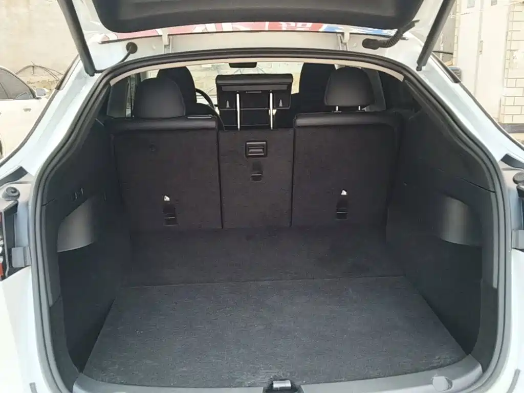 Tesla Model Y — фото 19