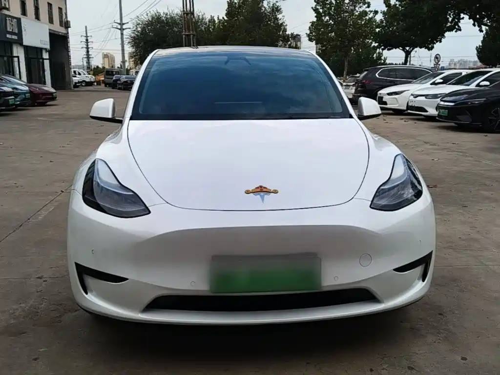 Tesla Model Y — фото 3