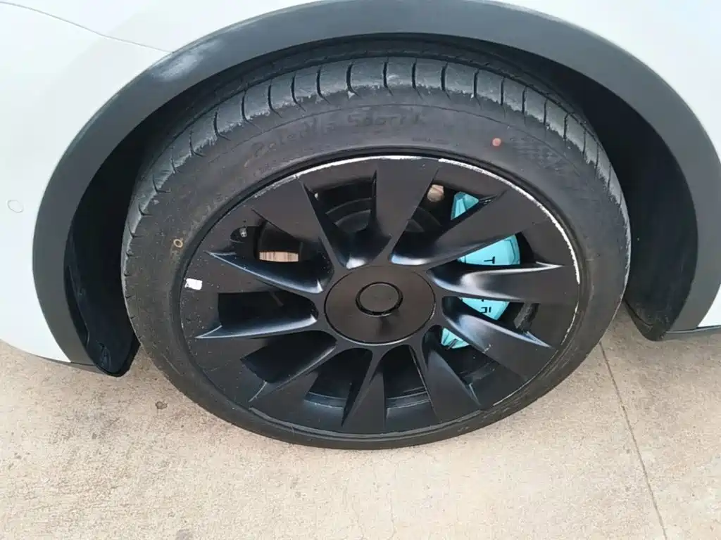 Tesla Model Y — фото 23