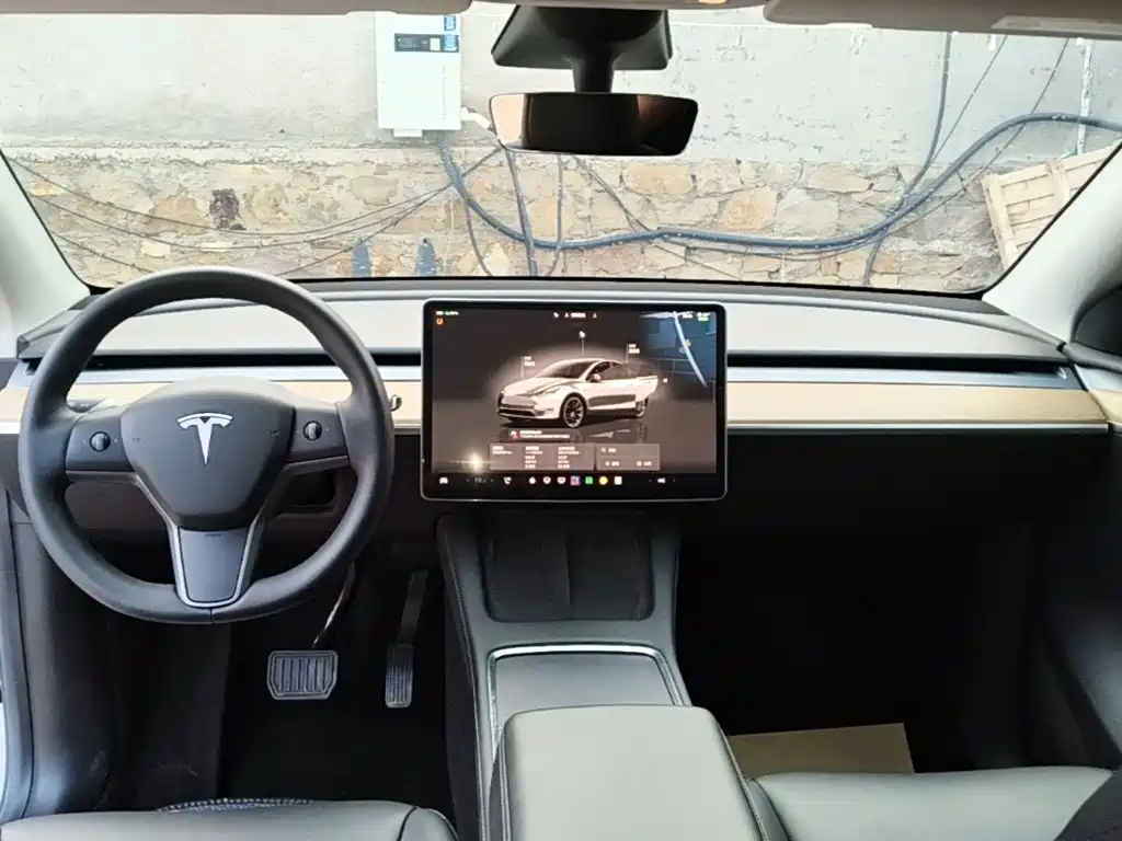 Tesla Model Y — фото 10
