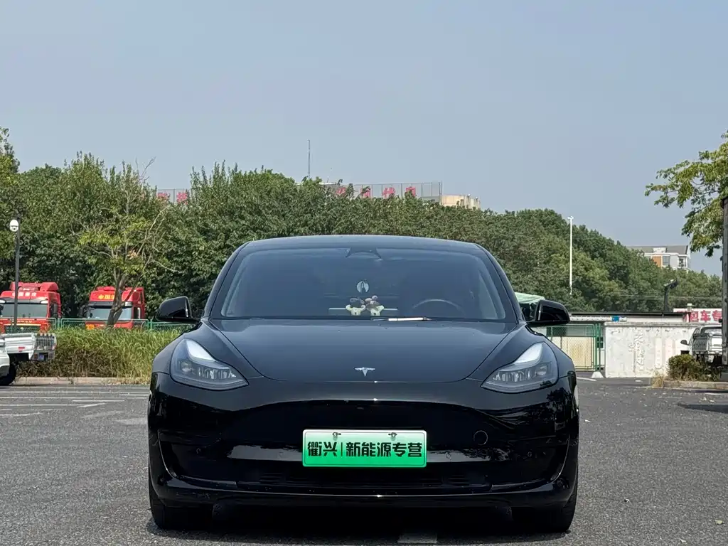 Tesla Model 3 — фото 2