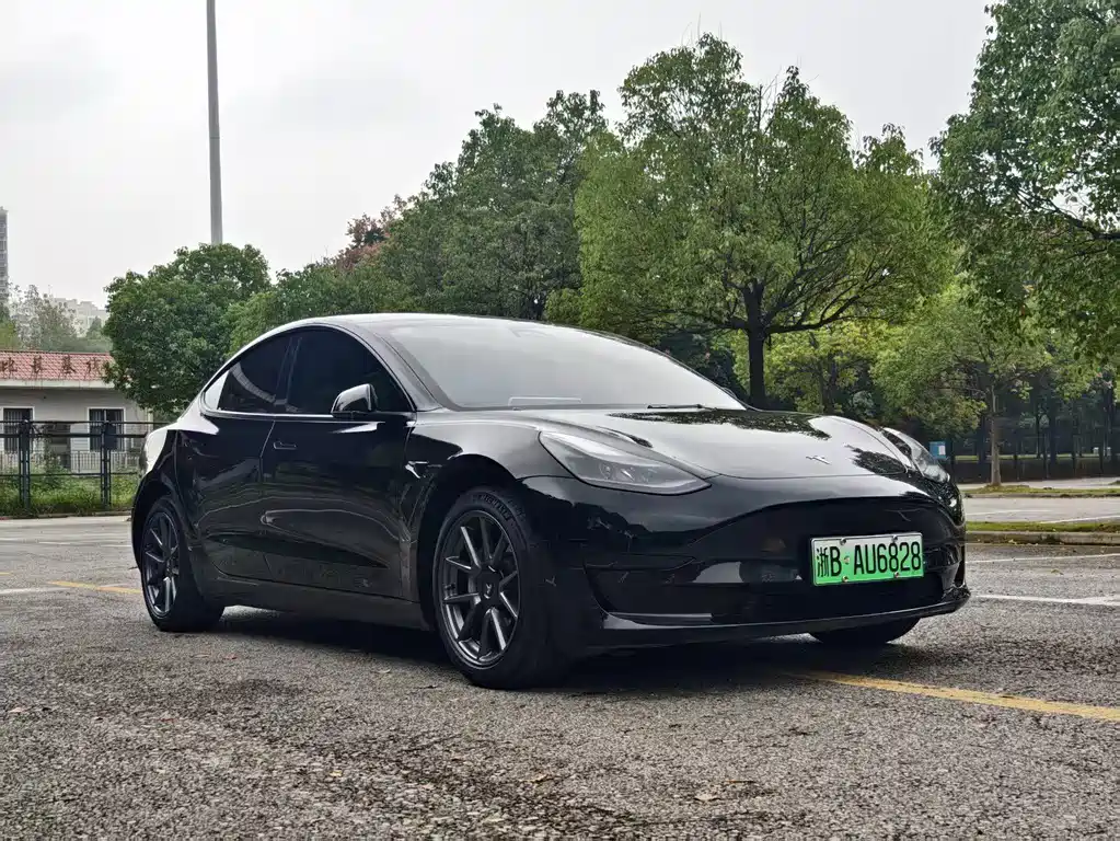 Tesla Model 3 — фото 3