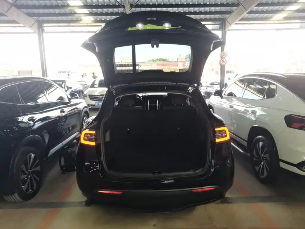 Tesla Model Y — фото 19