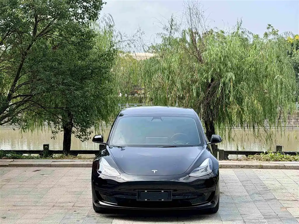 Tesla Model 3 — фото 2