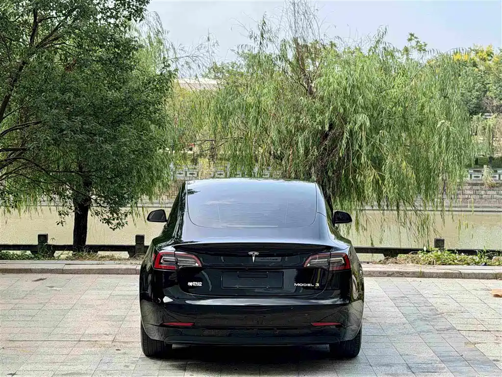 Tesla Model 3 — фото 3