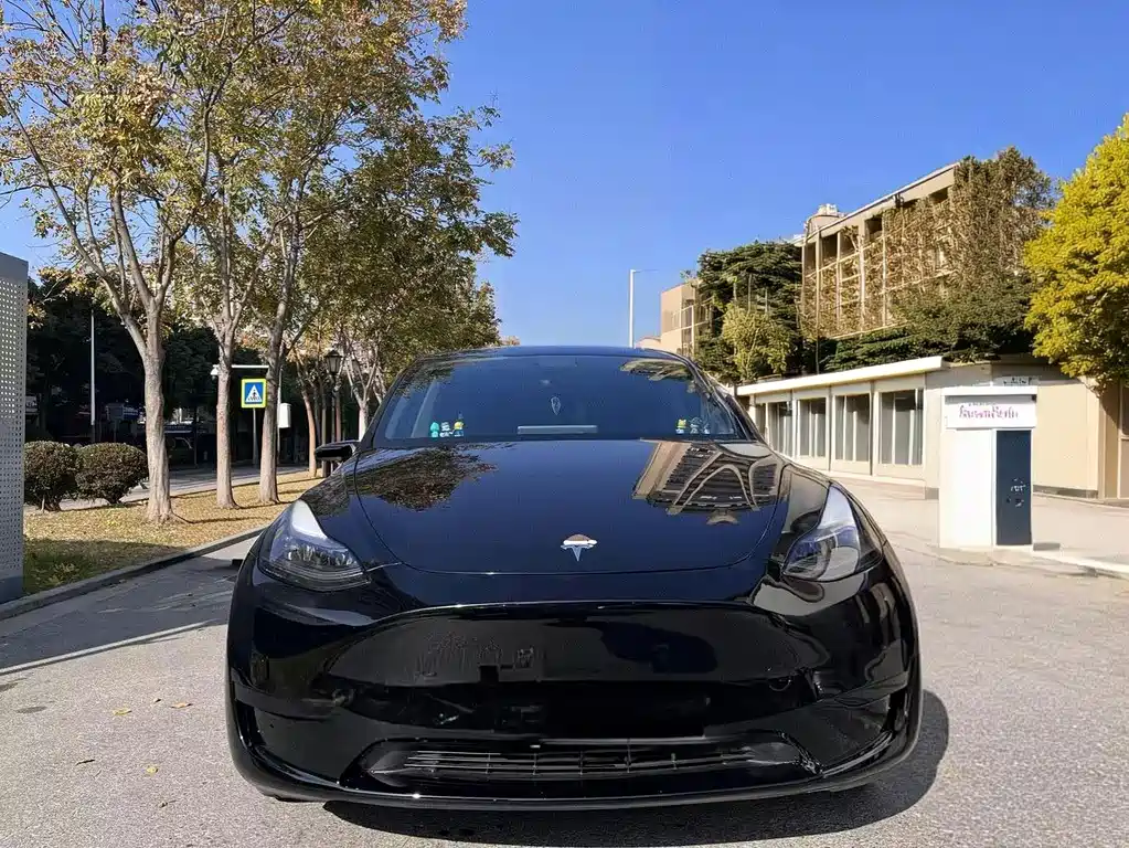 Tesla Model Y — фото 2