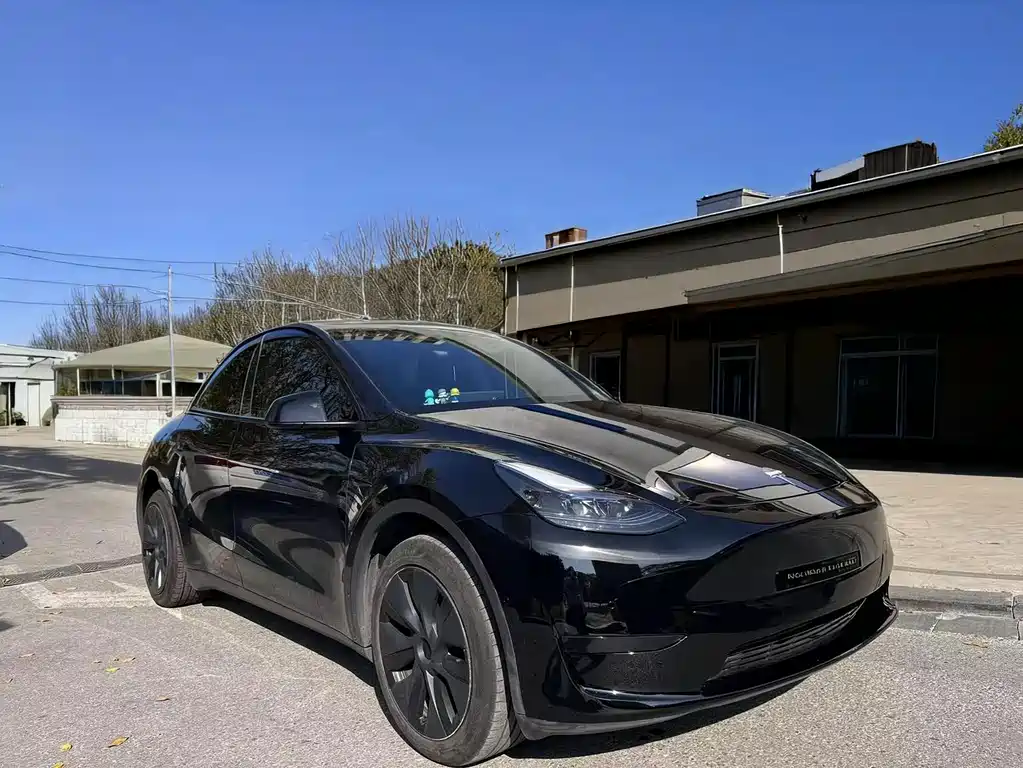 Tesla Model Y — фото 3