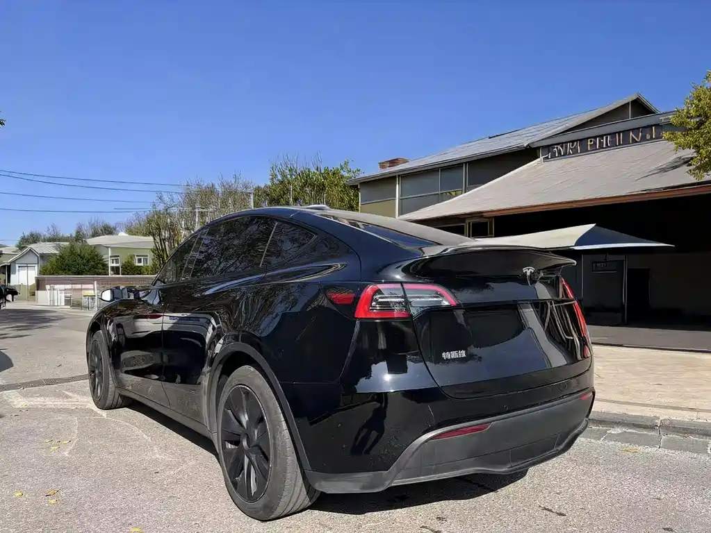 Tesla Model Y — фото 4