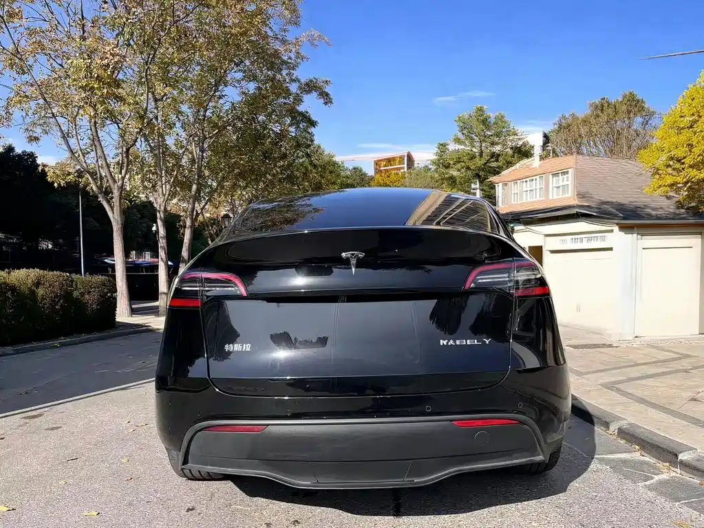 Tesla Model Y — фото 5