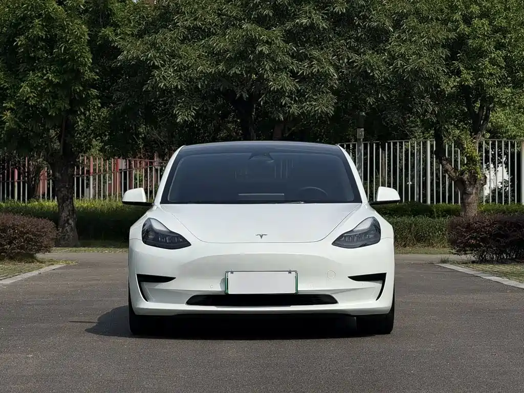Tesla Model 3 — фото 2
