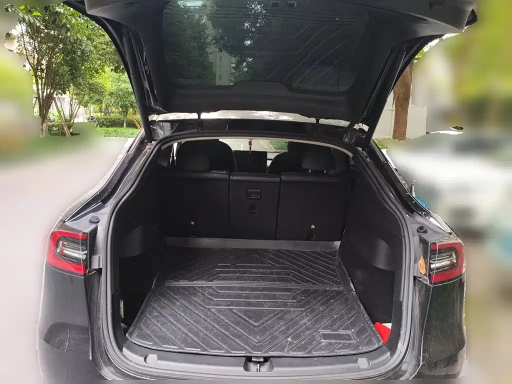 Tesla Model Y — фото 15