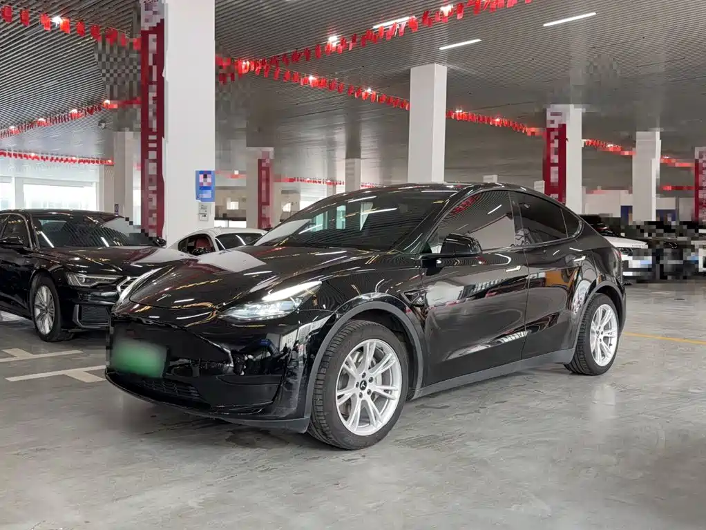 Tesla Model Y — фото 2