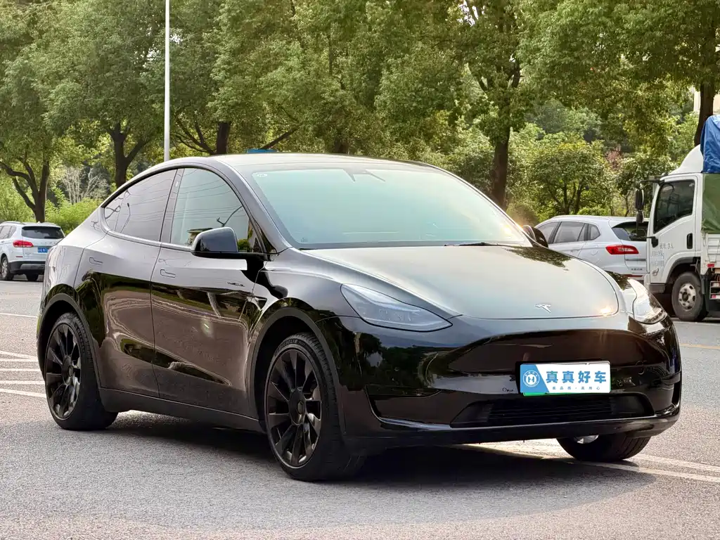 Tesla Model Y — фото 3