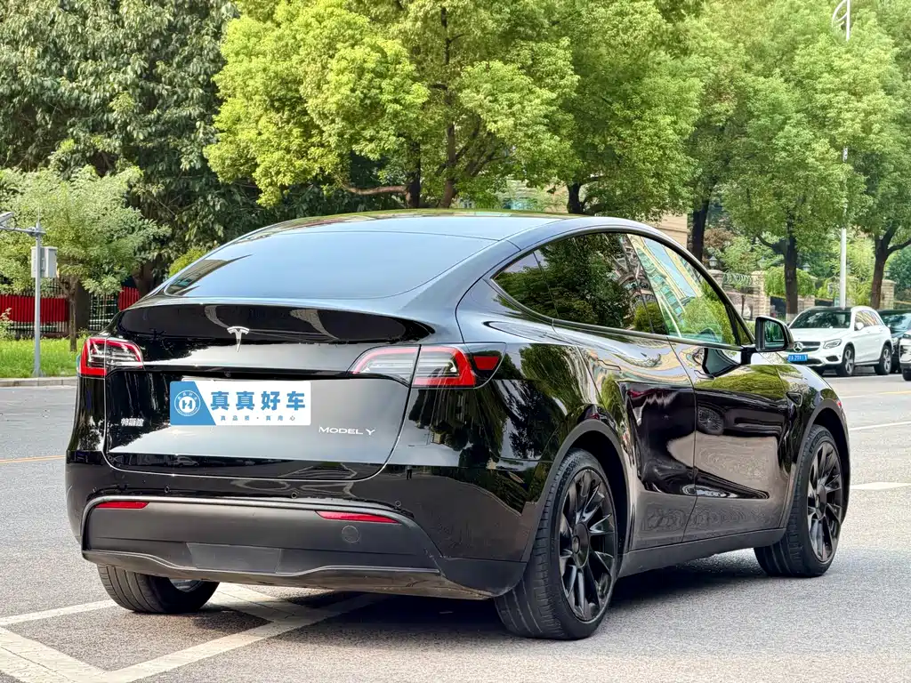 Tesla Model Y — фото 4