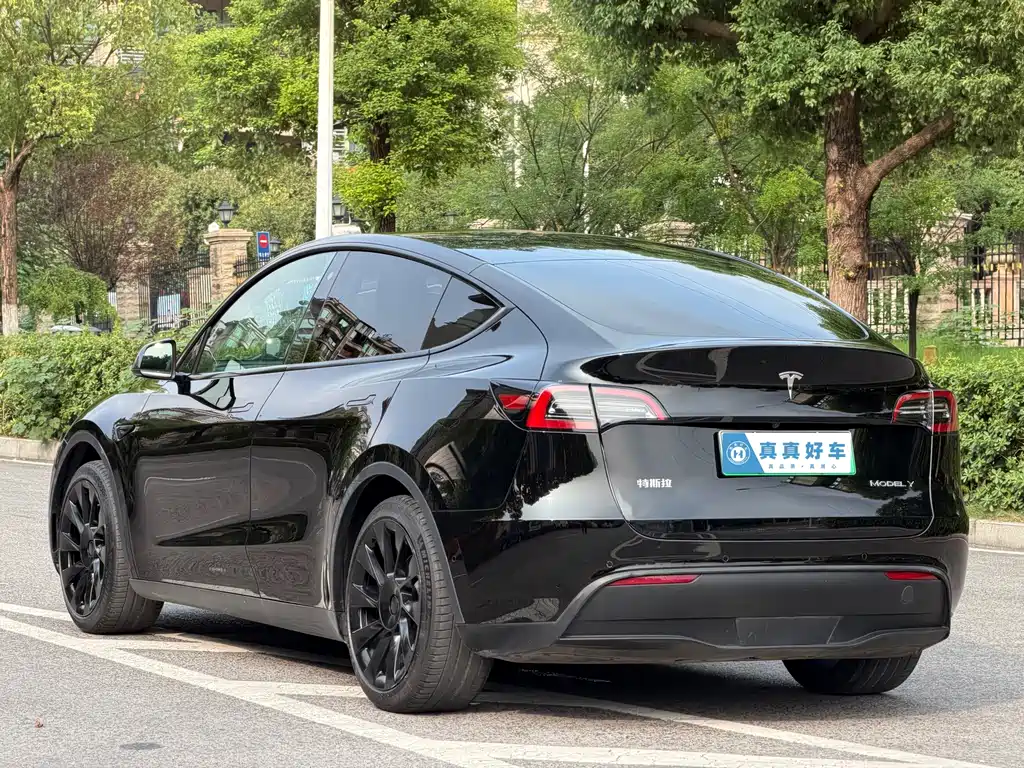 Tesla Model Y — фото 6