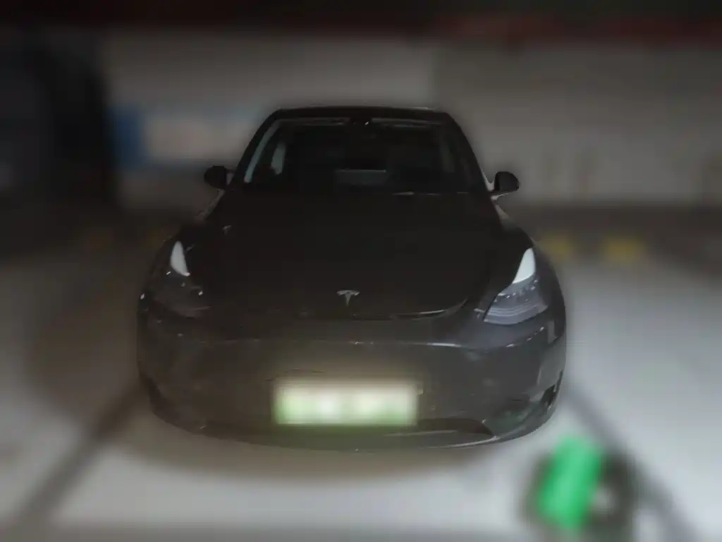 Tesla Model Y — фото 2