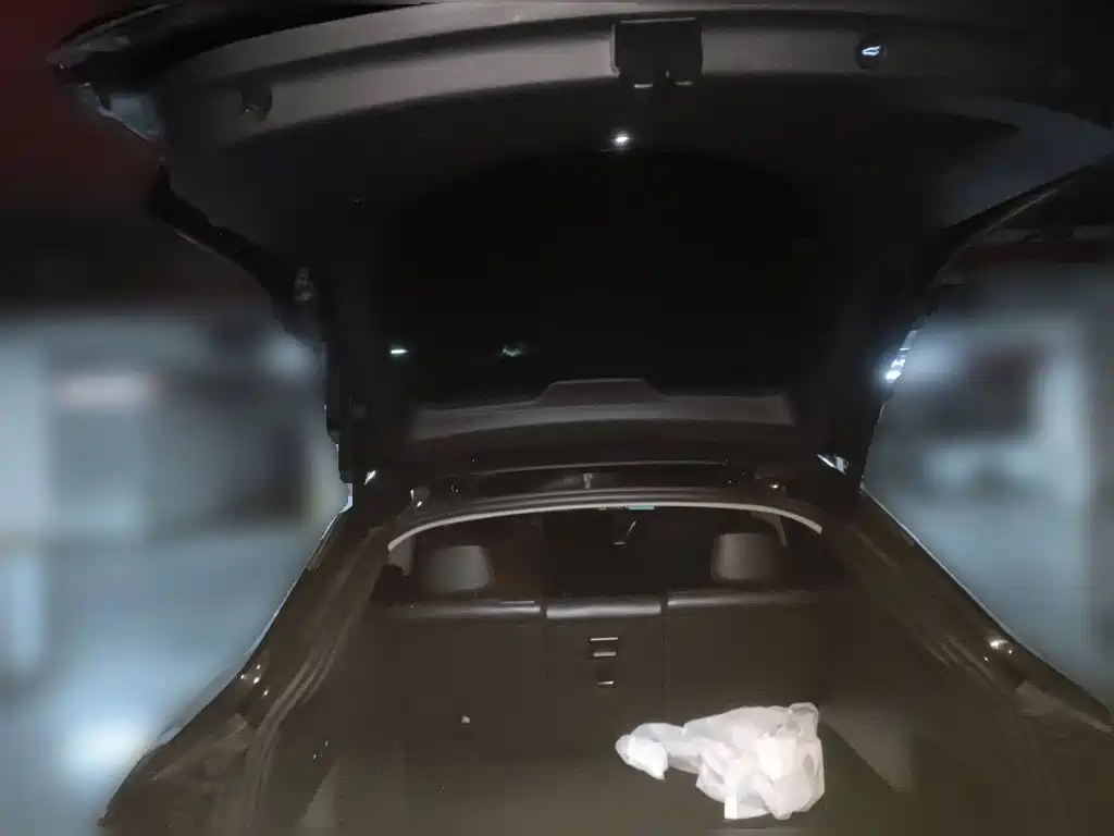 Tesla Model Y — фото 15