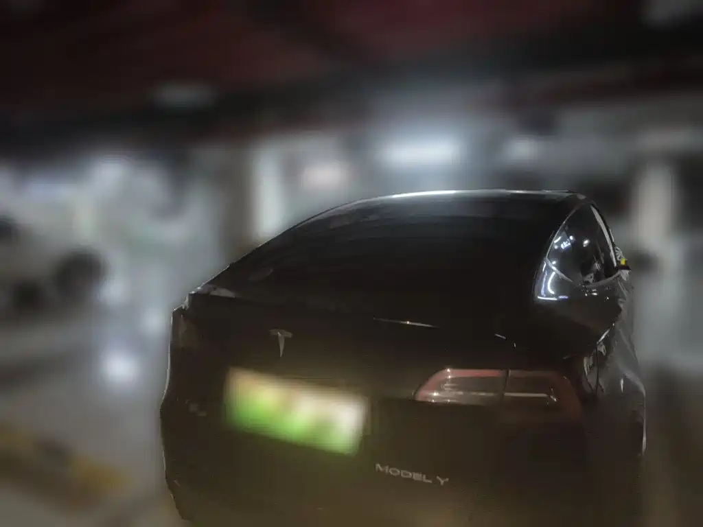 Tesla Model Y — фото 3