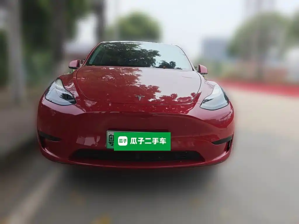 Tesla Model Y — фото 2