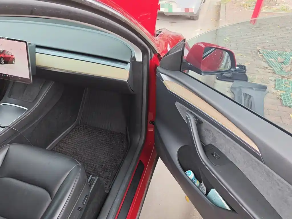 Tesla Model Y — фото 19