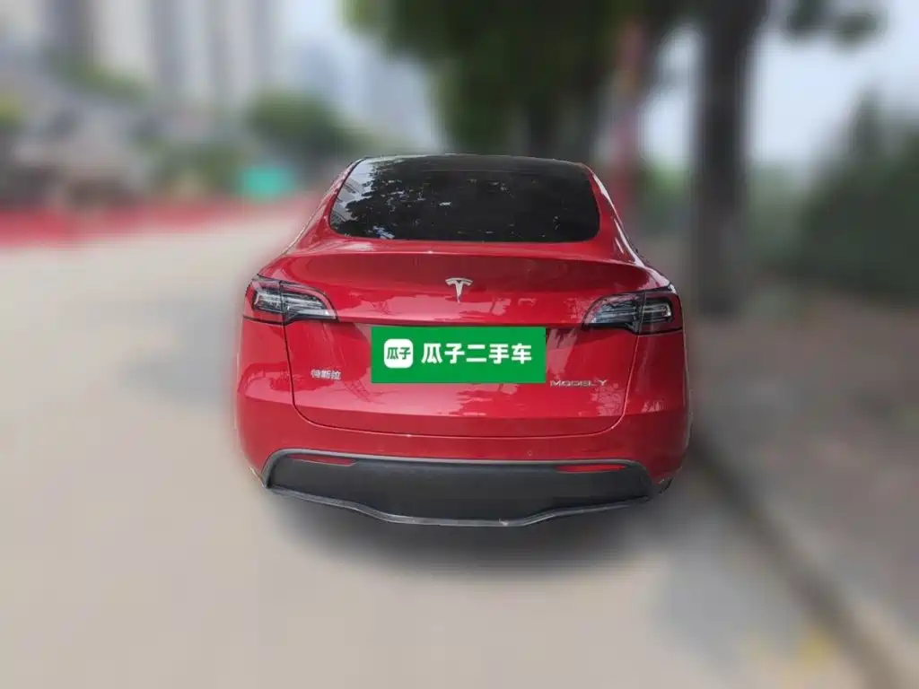 Tesla Model Y — фото 3