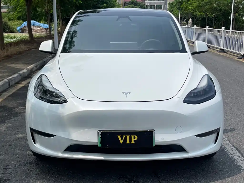 Tesla Model Y — фото 2