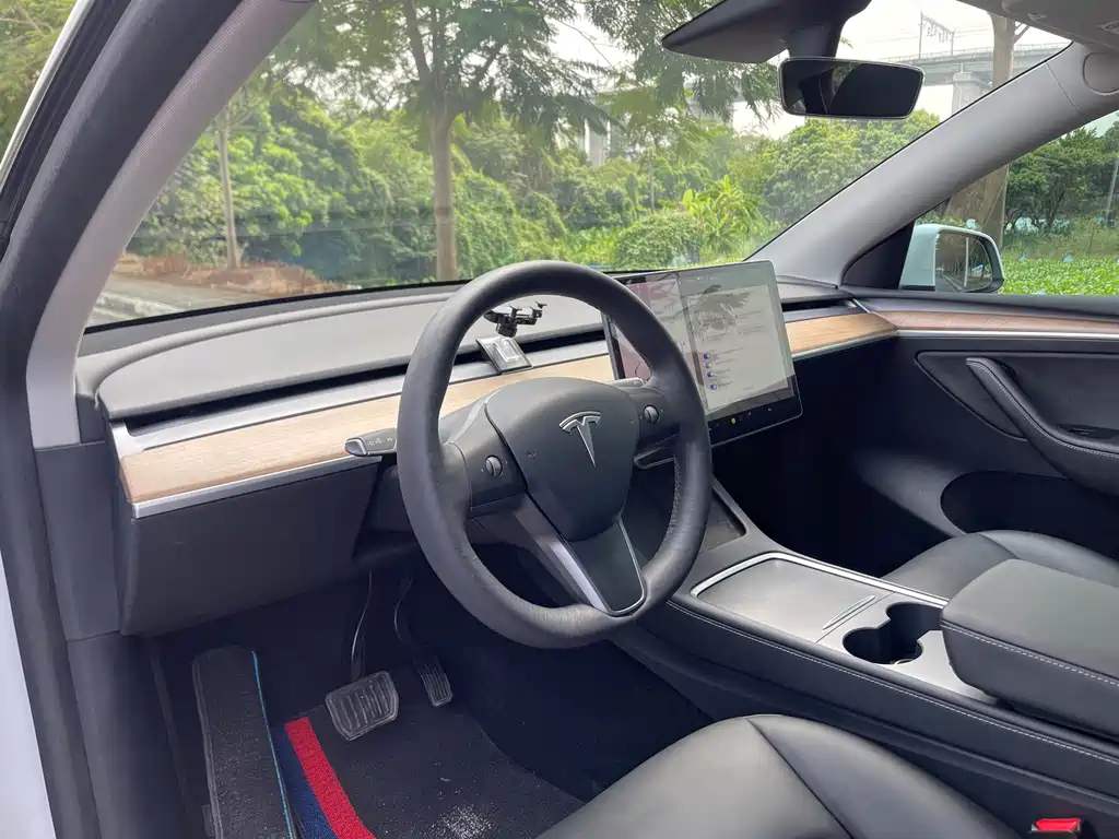 Tesla Model Y — фото 19
