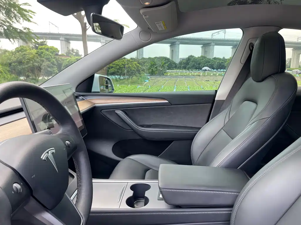Tesla Model Y — фото 20