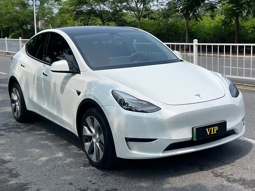 Tesla Model Y — фото 3