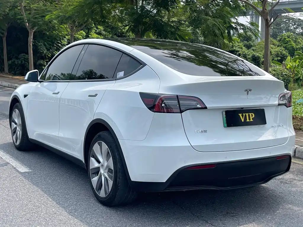 Tesla Model Y — фото 6
